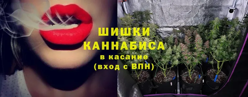 купить наркотики цена  omg как войти  Бошки Шишки Ganja  Западная Двина 